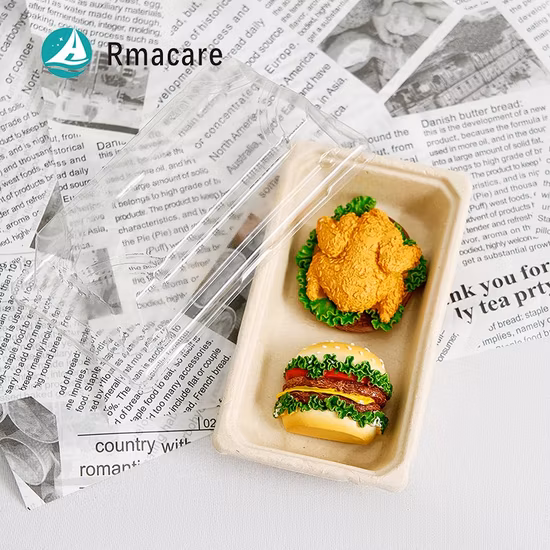 Stoviglie in bagassa Contenitore per alimenti biodegradabile Scatola per il pranzo in canna da zucchero Insalatiera Piatto per vassoio per sushi Imballaggio per alimenti da asporto